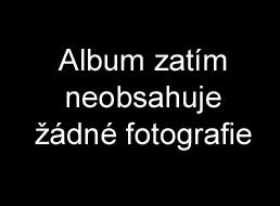 Ostatn tvorba